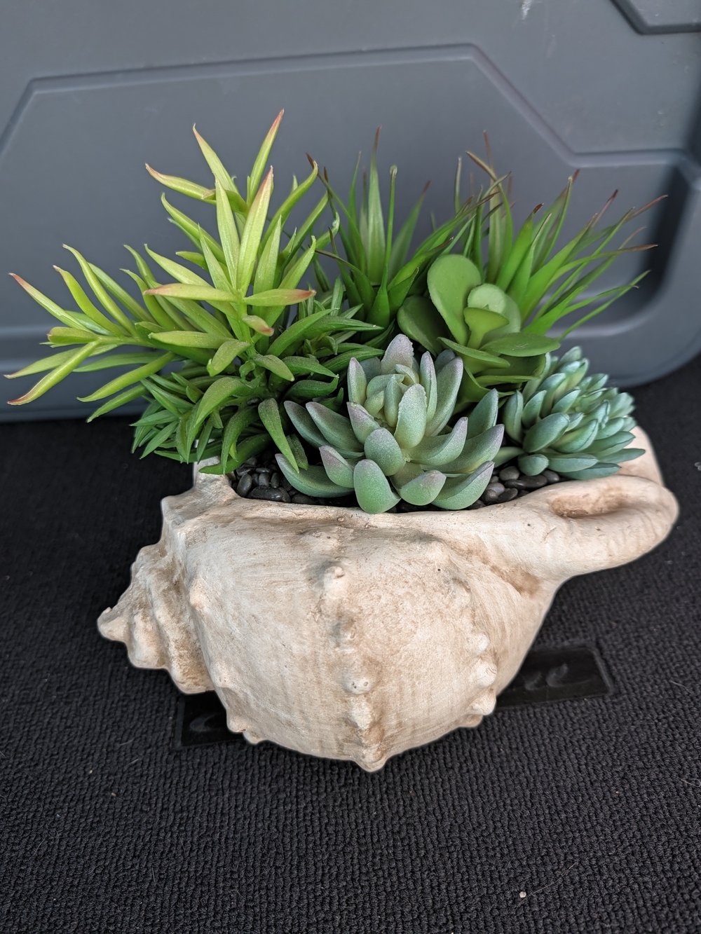 Artificial Succulent Arrangement in Shell Planter - Green
